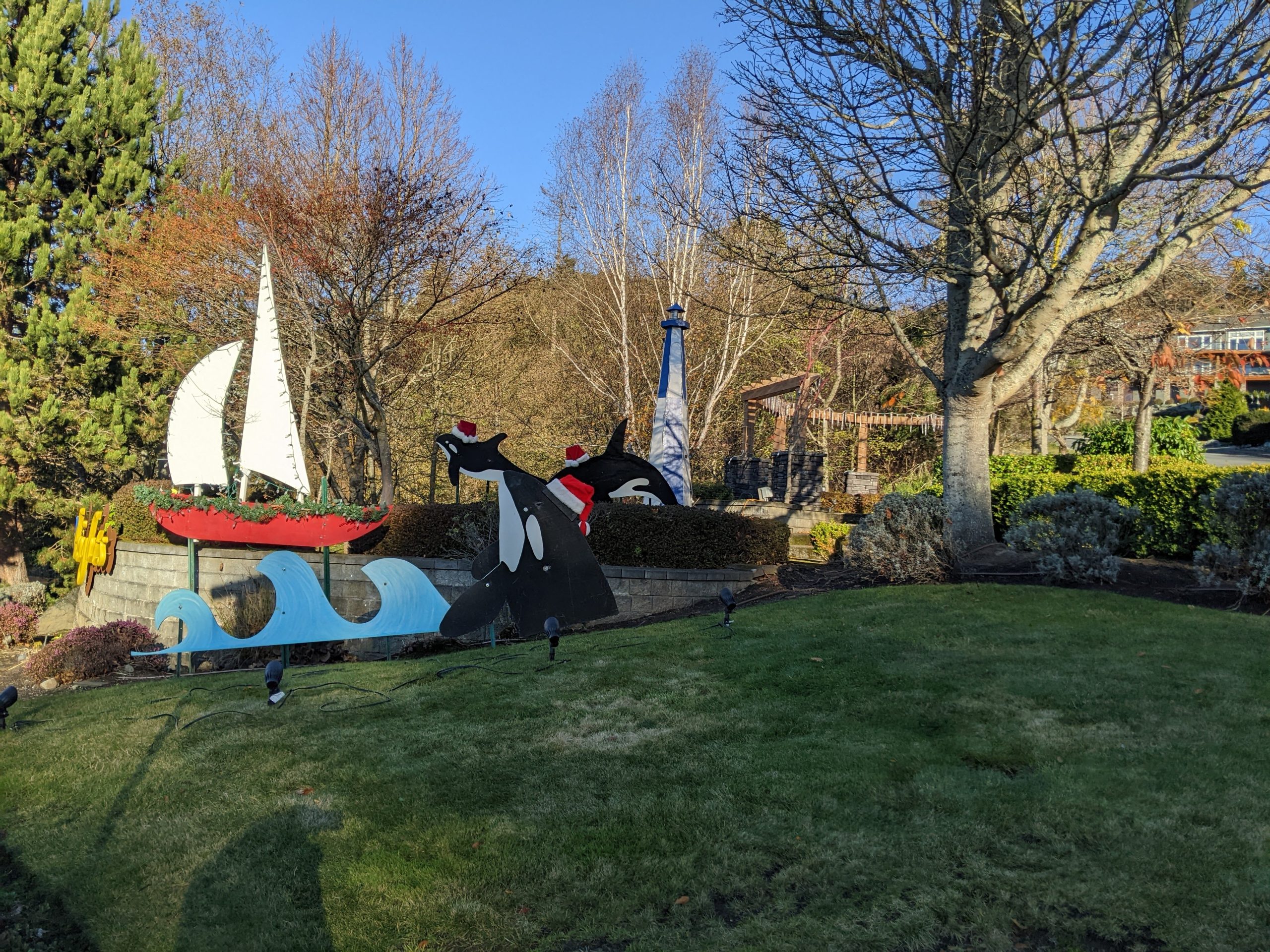 pxl_20231125_214522956